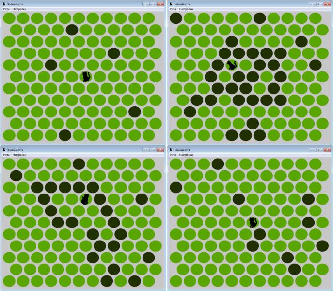 Поймай кота